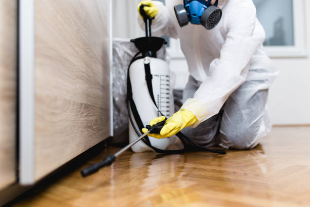 Best Pest Removal Services  in Smithfield, UT