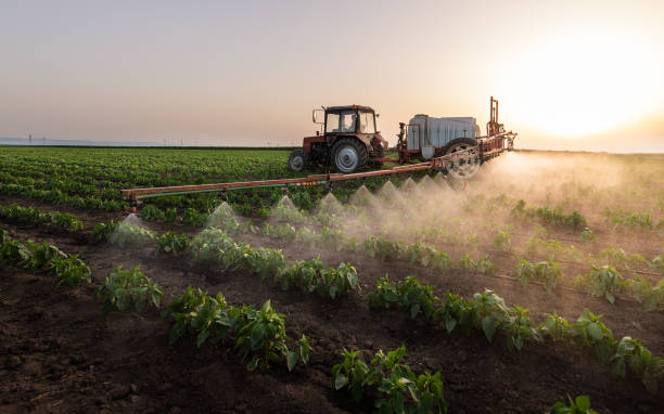 Best Pest Removal Services  in Smithfield, UT