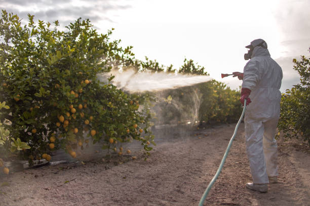 Best Cockroach Control Services  in Smithfield, UT