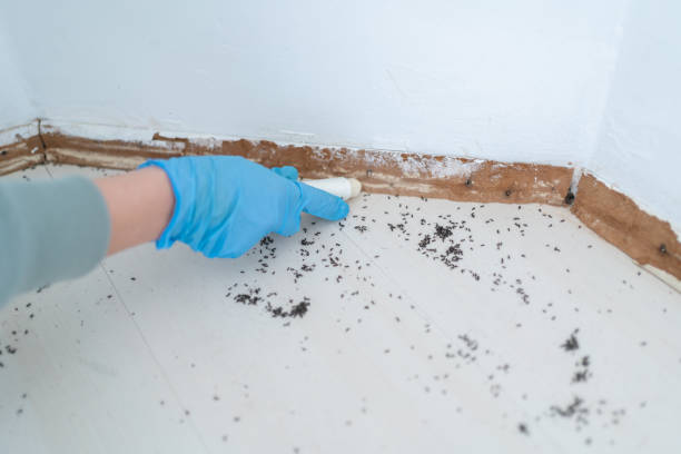 Best Residential Pest Control  in Smithfield, UT